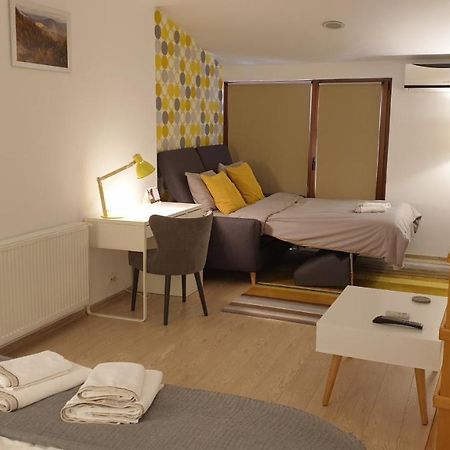 Villa Fagaras Cosy Flat Extérieur photo