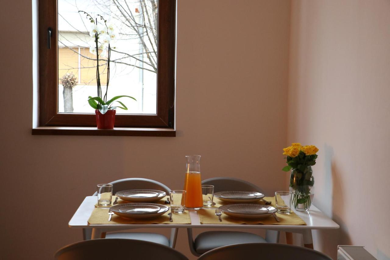 Villa Fagaras Cosy Flat Extérieur photo